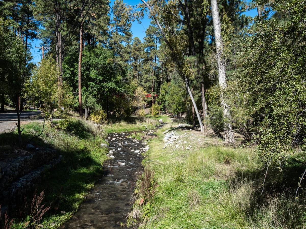 Sleeping Bear, 2 Bedrooms, Front Deck, Midtown, Sleeps 6 Ruidoso Dış mekan fotoğraf