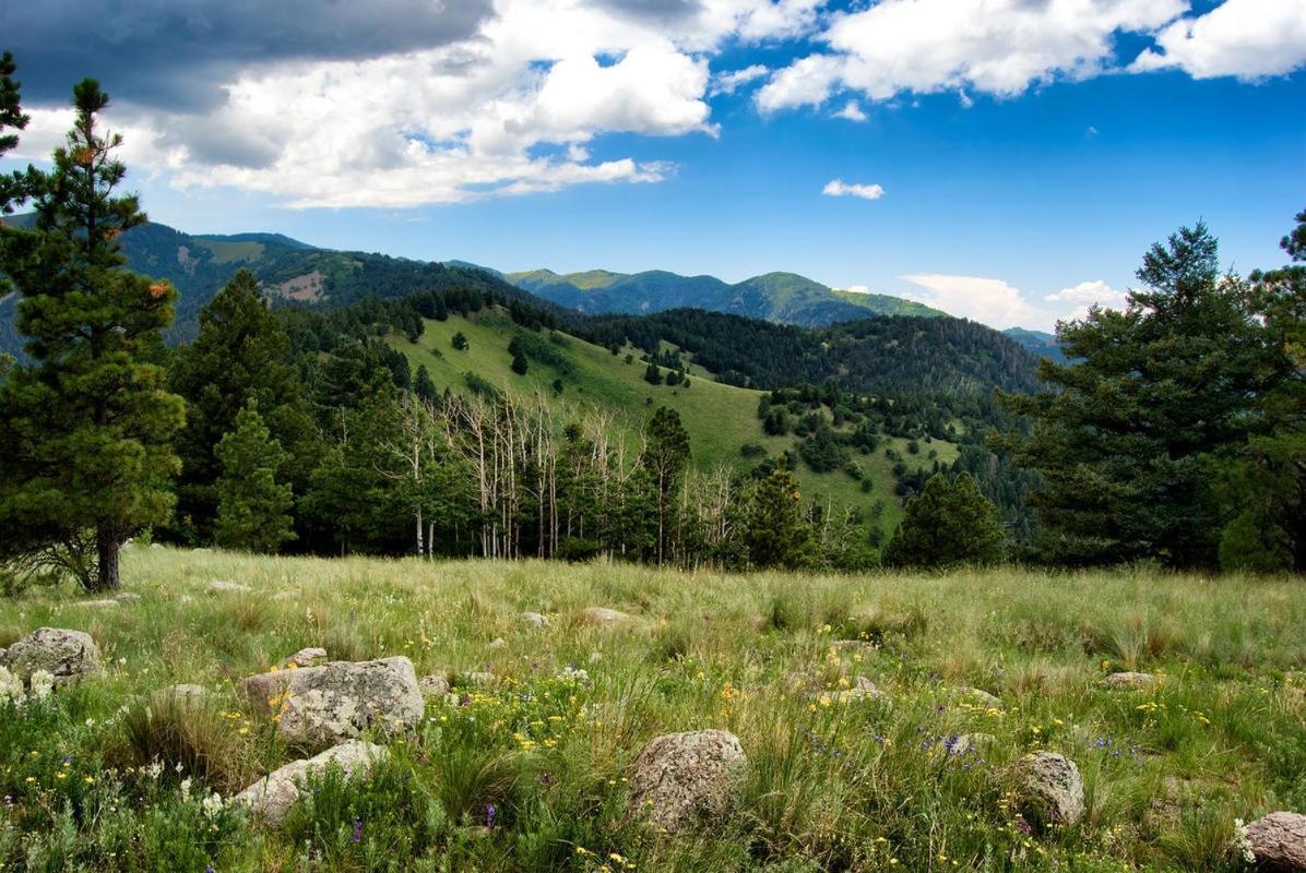 Sleeping Bear, 2 Bedrooms, Front Deck, Midtown, Sleeps 6 Ruidoso Dış mekan fotoğraf